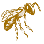 Miel de Tardienta